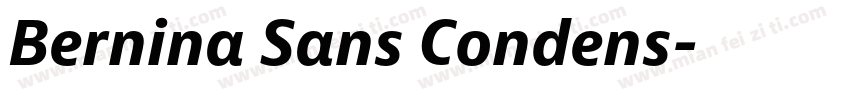 Bernina Sans Condens字体转换